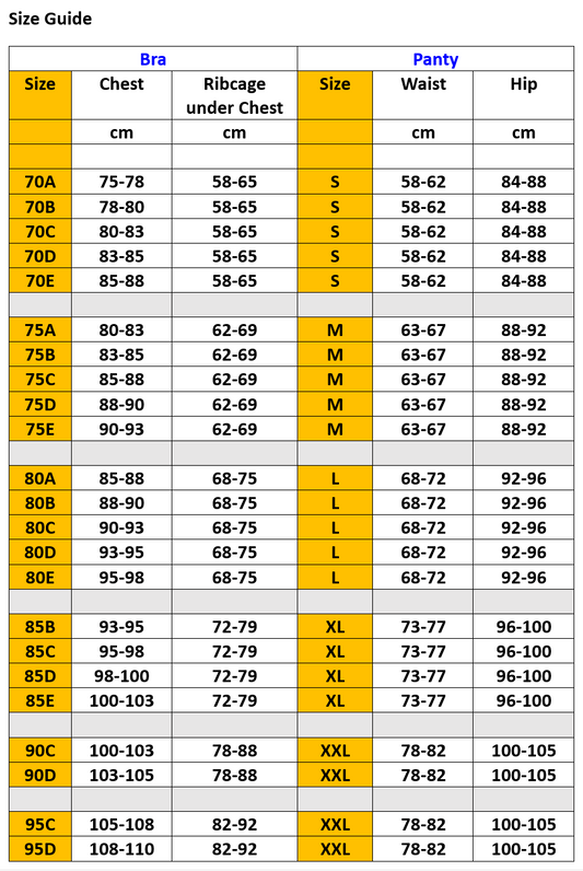 Bra set - Lace Embroidery Push Up Bra