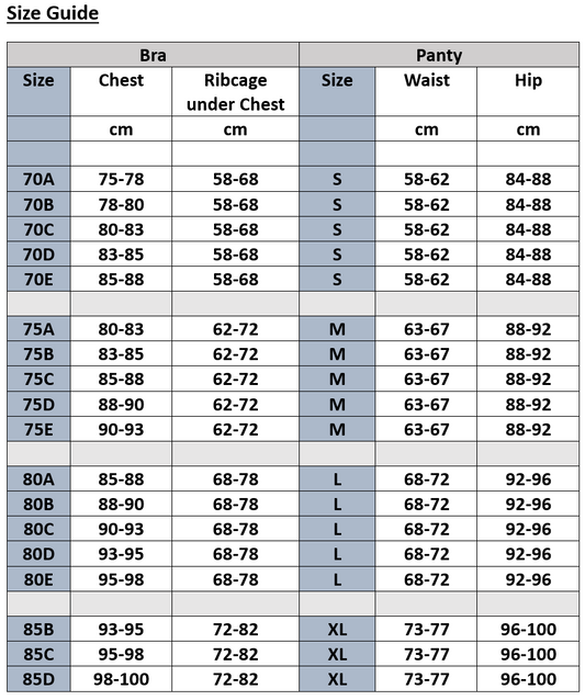 Bra set with Deep-V Lace Push Up Bra