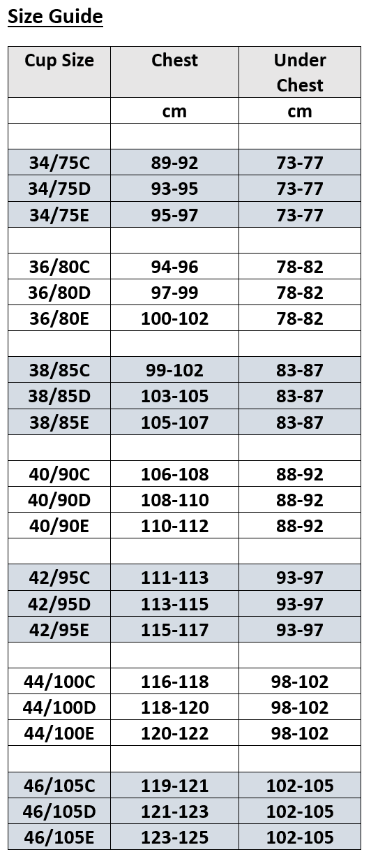 Transparent Lace Bra (Plus Size)