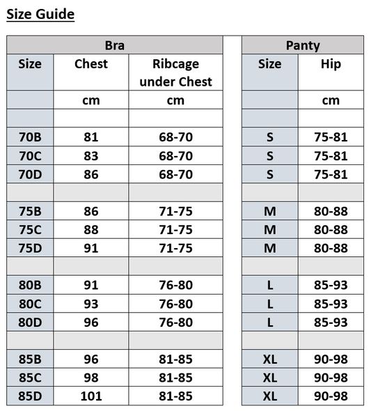 Radiant Lace - Push-up Bra and Panty Set