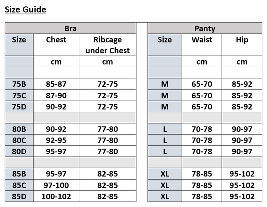 Lace Bra Set with Floral Cuttings