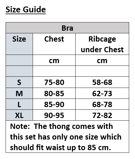 Ultra Thin Transparent Fishbone Bra and Thong Set