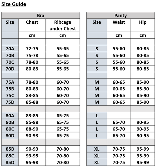 Eyelash Lace Mesh Ultra Thin Transparent Bra Set