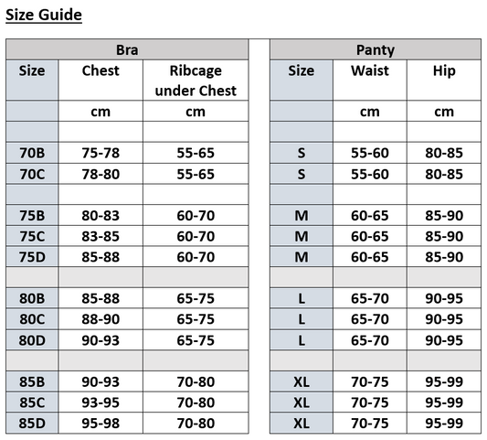 Push-Up Lined Bra Set with Mesh Transparent Panty