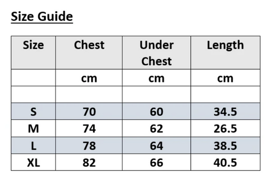 Energy Pumper - Sports Bra (One of the Best)